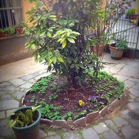 Nocleg ze śniadaniem Susasei 3*