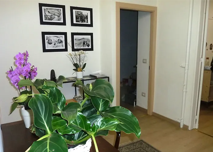 Susasei 3* טורינו